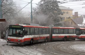 Víkendové posilnenie linky 203 na Kolibu