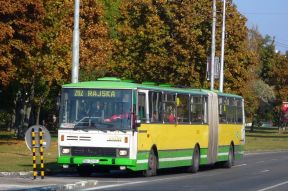 Dočasná zmena na linke 202 (od 11.3.2013)