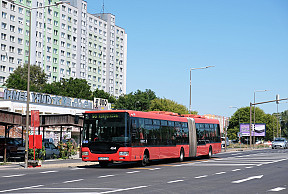 Zmeny autobusových liniek v Petržalke (od 14.10.2024)