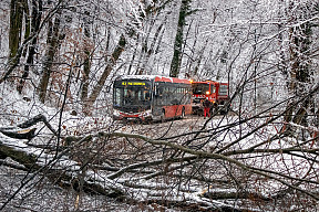 Obmedzenie premávky linky 43 (17. – 20.2.2025)