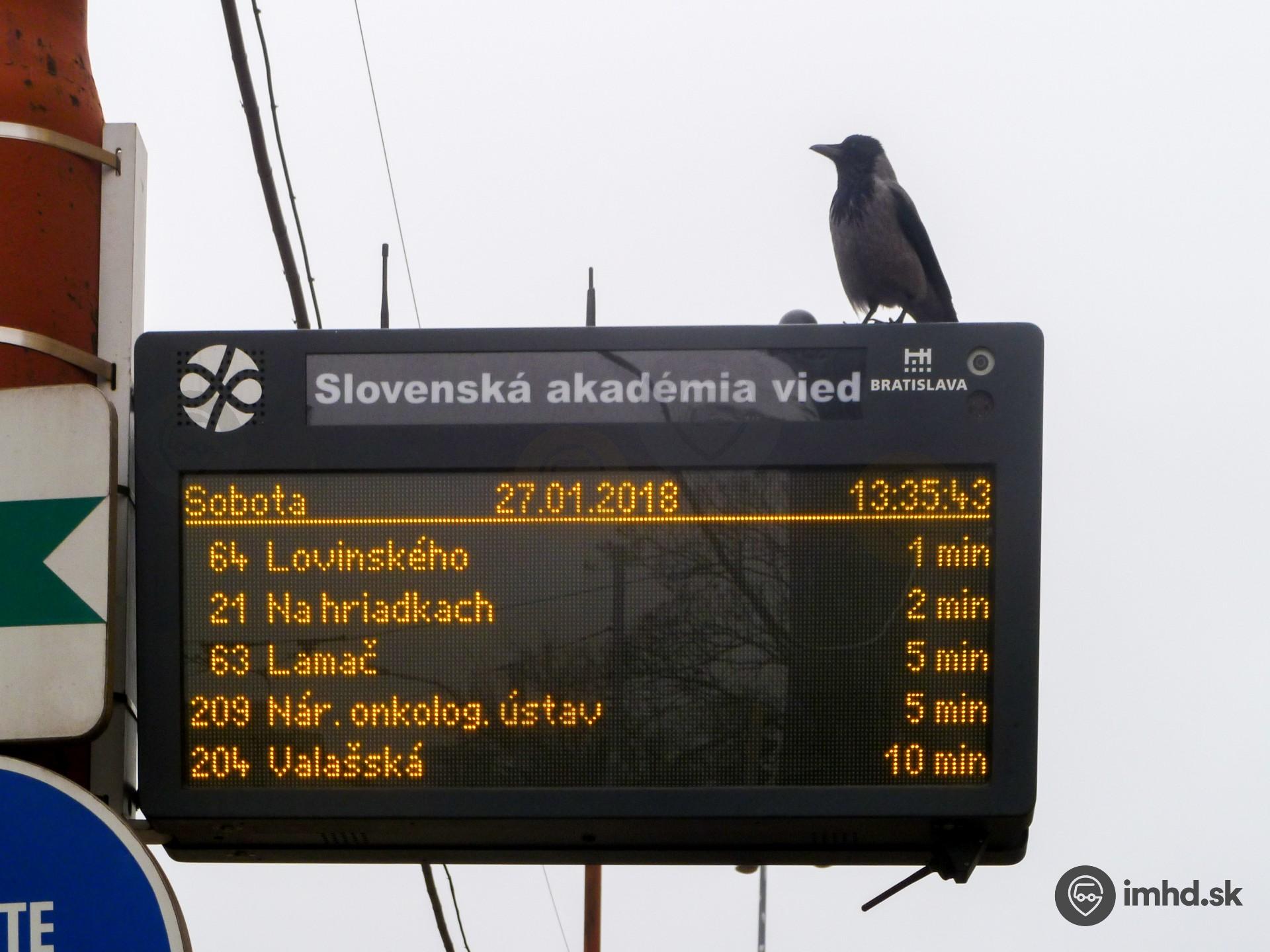 Vrana oddychuje na elektronickej tabuli na zástavke SAV