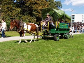 Zmena dopravy počas Radvanského jarmoku od 10.9. do 13.9.2009