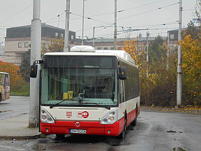 Návrat 3 Citelisov zo Zvolena