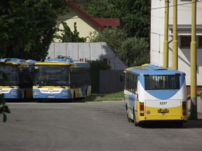 Júlové autobusové novinky