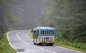 Na linke 14 premáva autobus s cyklonosičom (1.5. - 25.9.2022)