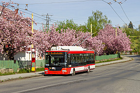 Úprava premávky MHD počas Veľkej noci (17. – 22.4.2025)